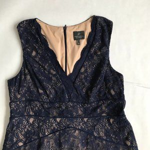 Adrienne Vittadini Navy Blue Lace Overlay Dress Size 16 Fully Lined in Tan